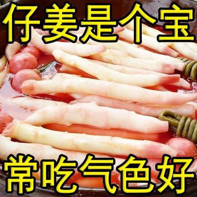 四川农家泡仔姜泡嫩姜正宗老坛特产泡菜下饭酸菜脆嫩爽口佐餐秘制