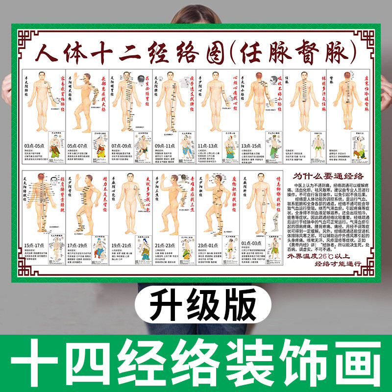 人体十二经络穴位标准大挂图中医养生十四经脉任督二脉走向高清图