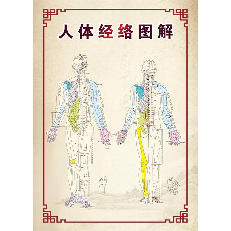 人体十二脉络穴位示意图中医挂图 灵枢经脉 养生馆海报墙贴墙纸