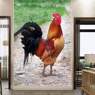 大公鸡图海报客厅玄关装饰画红冠雄鸡打鸣鸡墙贴壁挂画自粘画定制