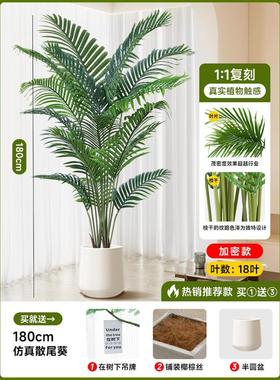 磁武仿真绿植散尾葵客厅花落仿生地植物装饰摆件盆栽假树