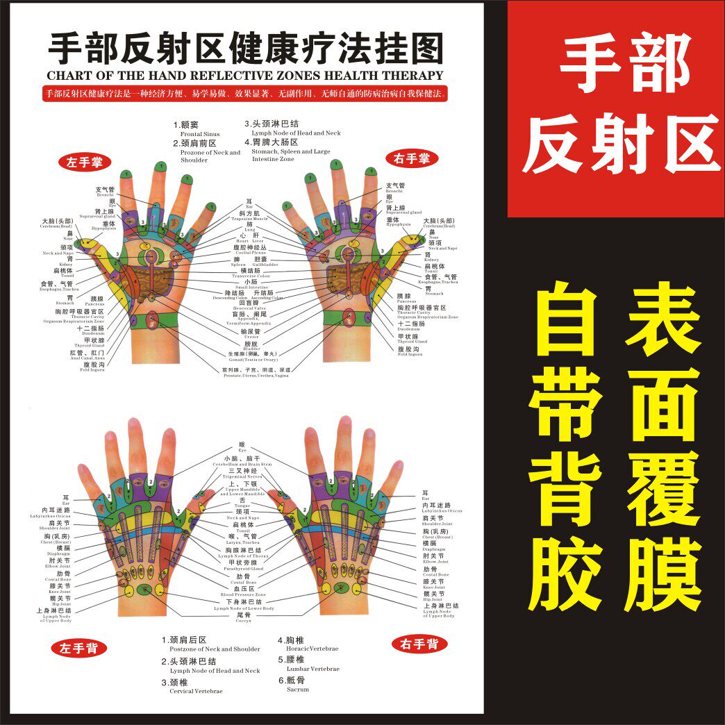 手部反射区健康疗法多尺寸可选DIY设计服务中医养生保健海报耳部