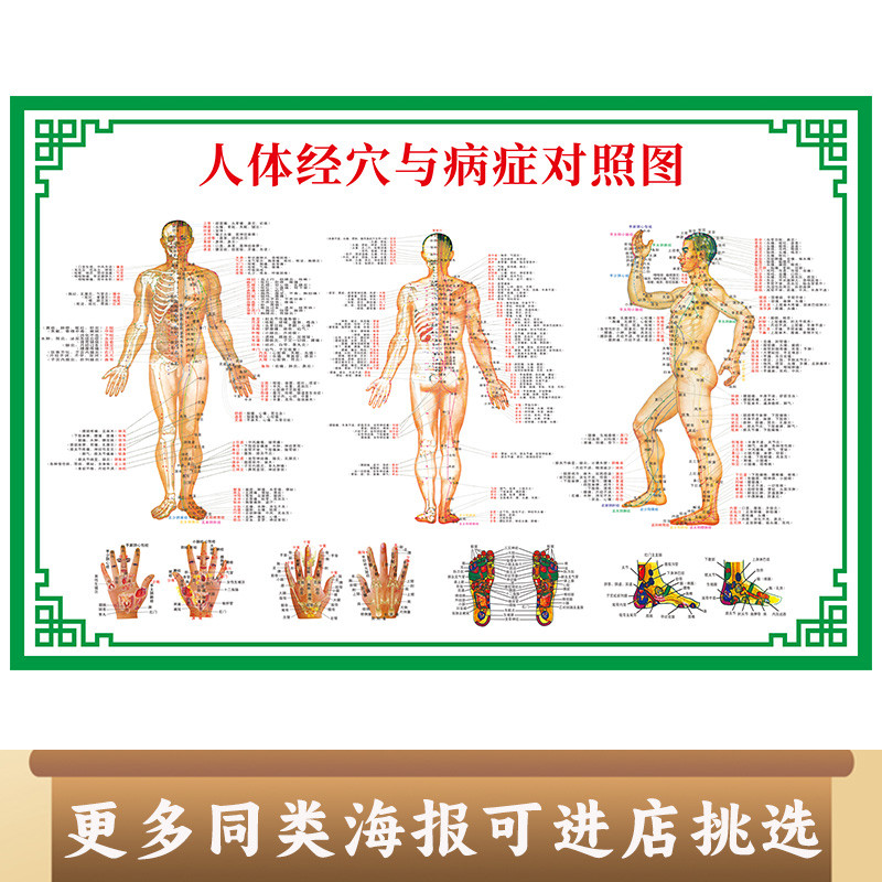 人体经穴与病症对照图穴位中医穴位地图针灸经络养生馆宣全身高清