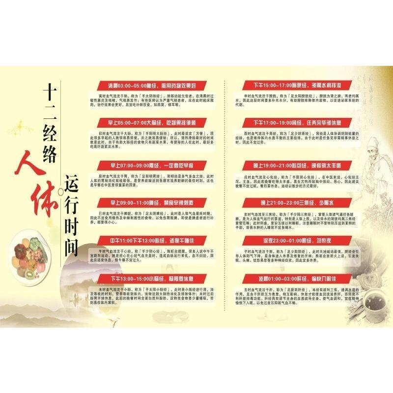 人体十二经络运行时间海报展板经络的神奇墙贴墙纸装饰画KT板