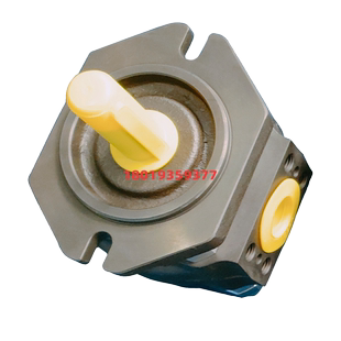 019RK03 EIPH2 016RK03 11德国艾可勒ECKERLE油泵