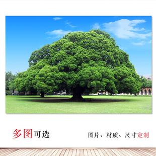 大榕树挂画一棵绿色树招财风水背景贴画大树自粘背胶装饰画有框画