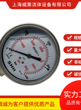 超高压不锈钢耐震压力表2000BAR，轴向径向，200MPA，G1/4，G1/2