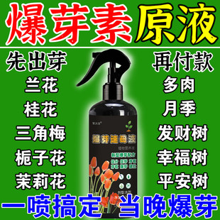 爆芽素原液三角梅月季桂花多肉植物通用优芽素老桩生根催芽分化剂