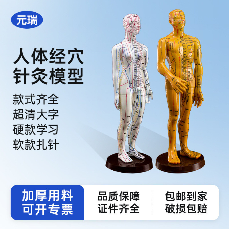 可练扎针十二经络全身人体针灸模型练习小皮沙盘穴位模特图小铜人