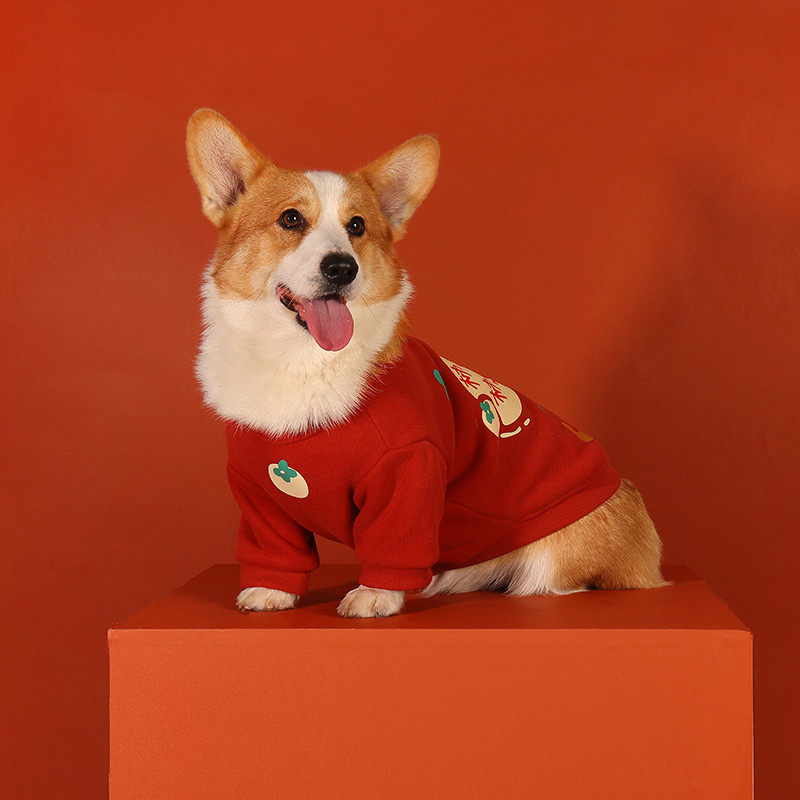 柯基新年衣服加绒保暖宠物雪纳瑞泰迪比熊狗狗衣服拜年服喜庆潮牌