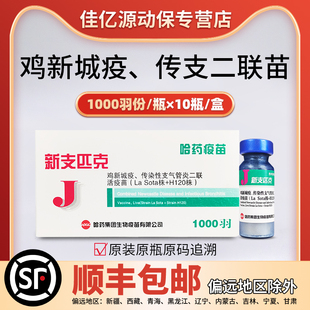 鸡疫苗 新支二联活疫苗 鸡新城疫传染性支气管炎二联活疫苗H120株