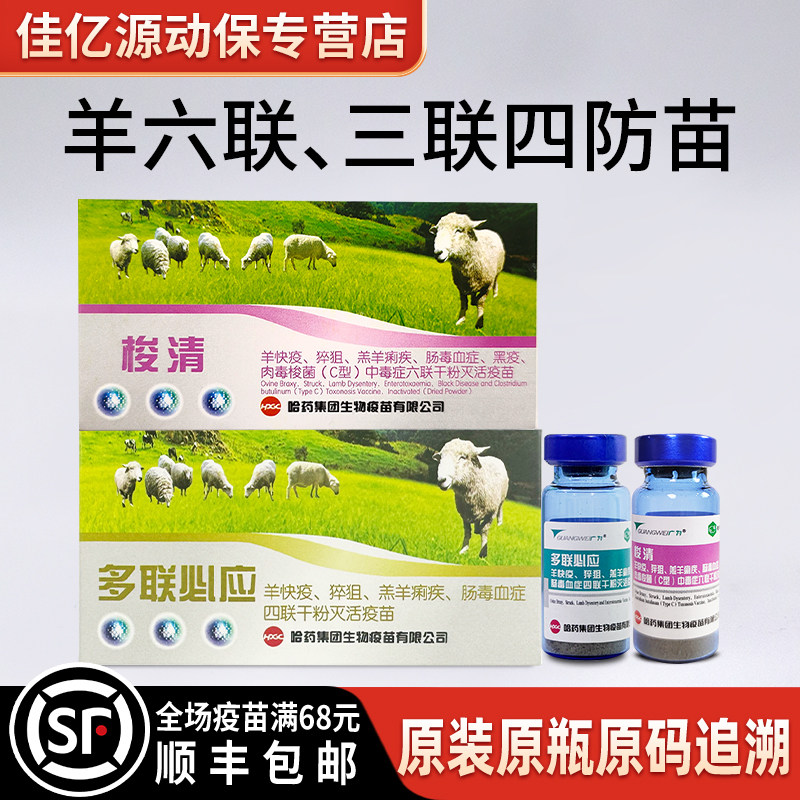 羊疫苗羊三联四防羊快疫猝狙羔羊痢疾肠毒血症羊黑疫肉毒梭菌疫苗