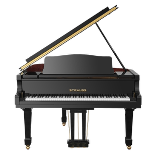 STRAUSS施特劳斯旗舰专业演奏演出S152/160/170/186三角钢琴
