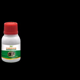 草坪专用除杂草剂l马尼拉百慕除香附子牛筋草水花生烂根剂除草神