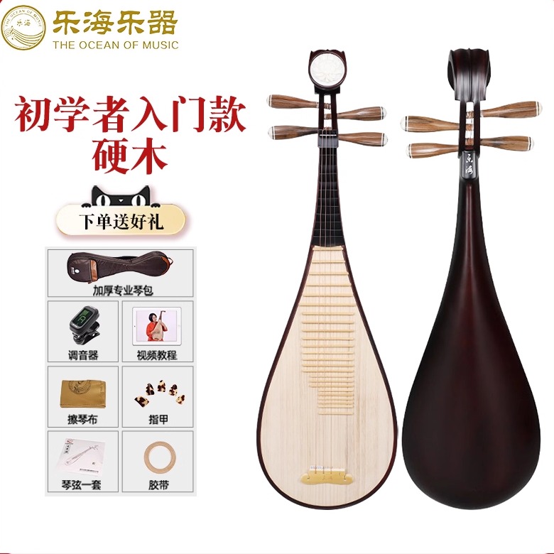 乐海琵琶乐器成人初学者入门练习考级演奏款花开富贵头饰DJ11-1
