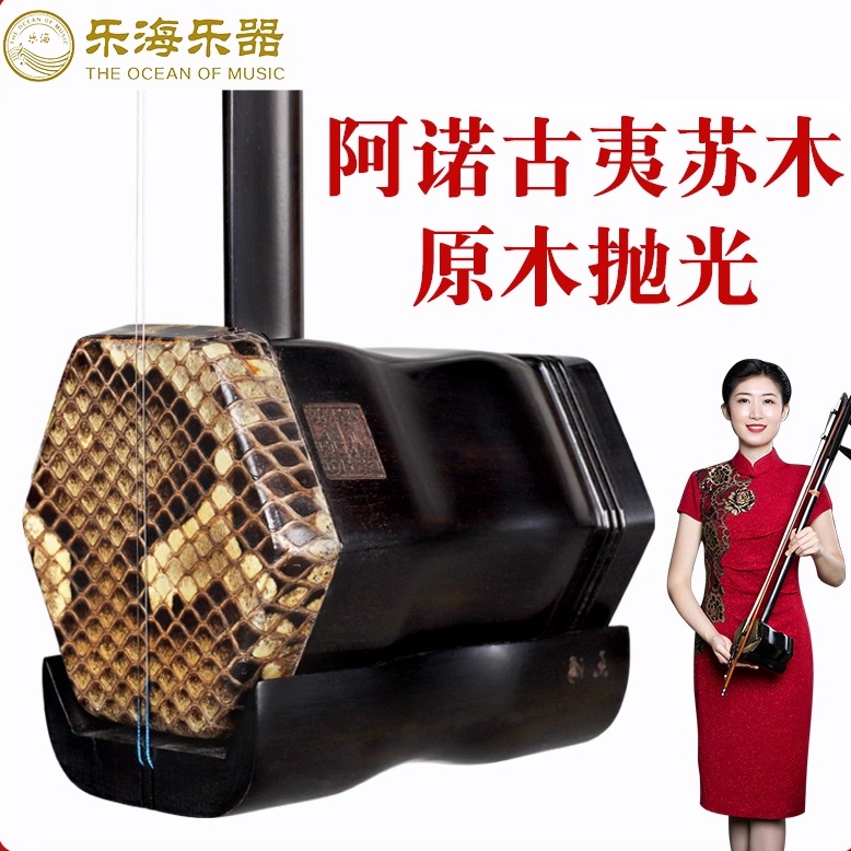 乐海黑檀二胡专业级阿诺古夷苏木原木色六方木轴二胡乐器厂家直销