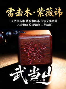 武当山天然雷击木道系项链