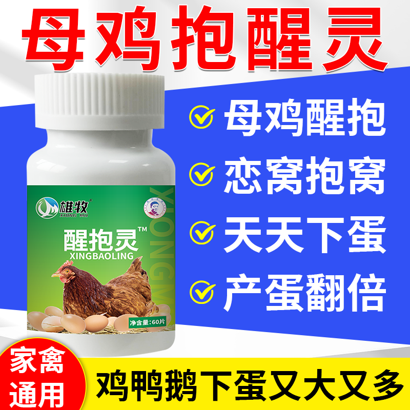 母鸡醒抱药鸡下蛋专用蛋多多蛋饲料专治家禽不下蛋鸡鸭鹅趴窝药