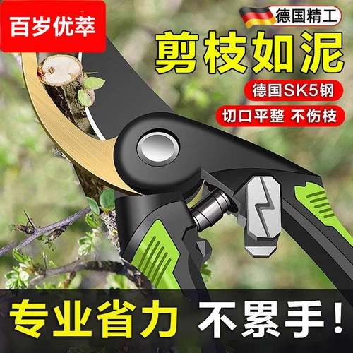 德国剪树枝专用剪刀修树枝果树修枝剪粗枝家用剪子修花园艺园林剪