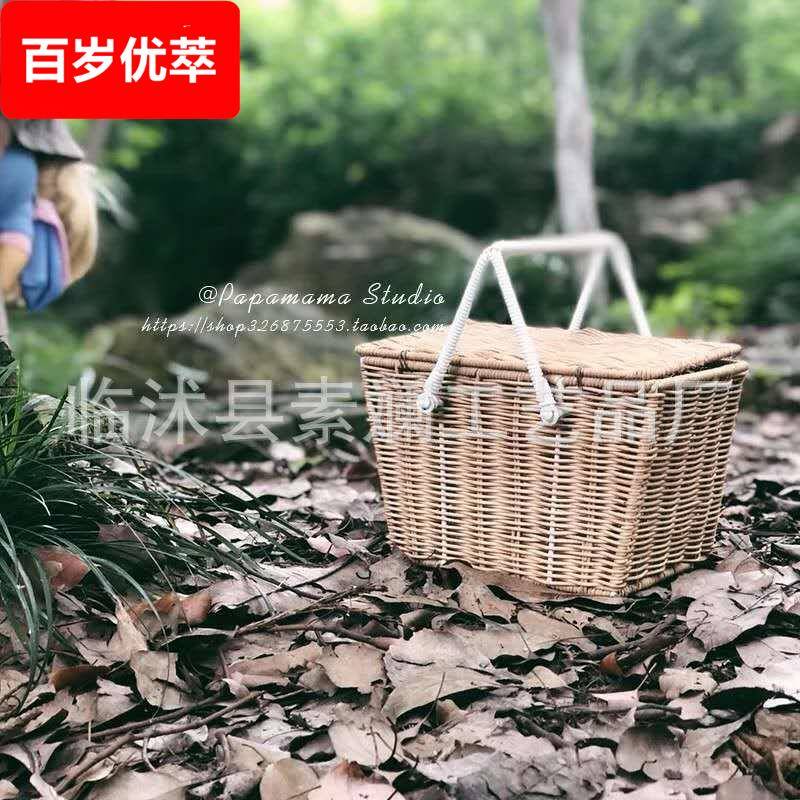 北欧ins网红藤条编织小提篮宝宝户外出游野餐篮收纳篮拍照道具