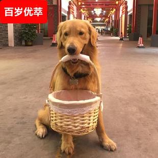 金毛大型狗叼宠物狗篮拉布拉多 户外训狗用品狗狗口叼专用篮子叼
