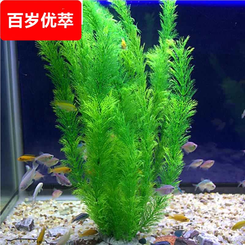鱼缸里面的装饰品仿真水草水族造景假水草柔软水草花塑料水草绿色