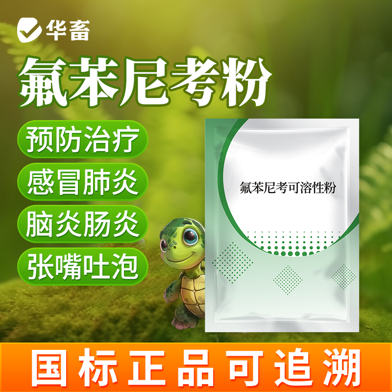 华畜乌龟药氟苯尼考治疗草龟巴西感冒肺炎鳄龟宠物龟肠胃炎脑膜炎