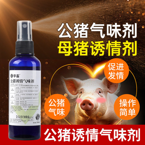 华畜公猪气味剂母猪专用诱情剂