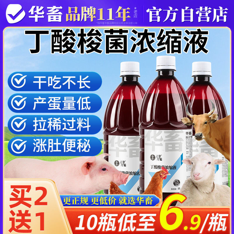 华畜丁酸梭菌浓缩液兽用益生菌