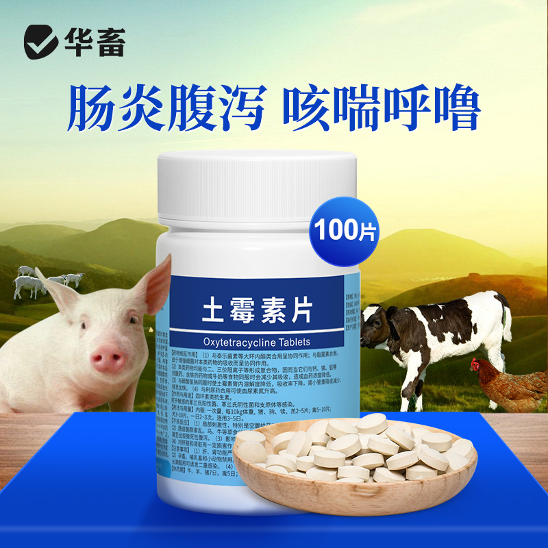 华畜乌龟阿莫西林片水族肺炎感冒