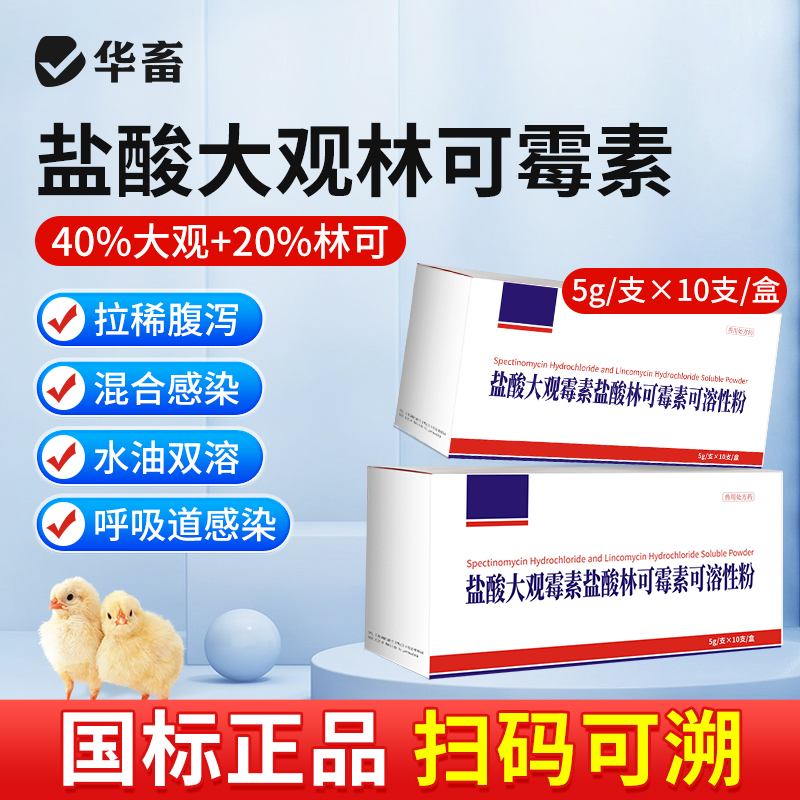 华畜利高霉素盐酸大观林可霉素注射兽用支原体肠炎呼吸道咳喘消炎