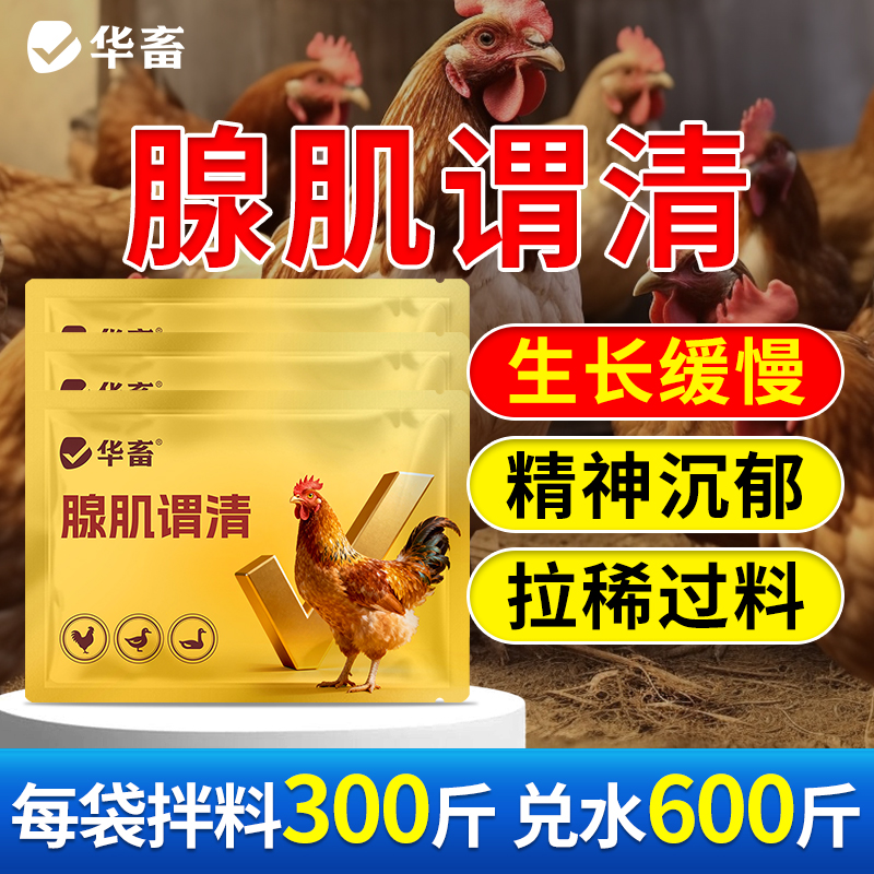 华畜腺肌胃清鸡鸭鹅拉稀白便水便