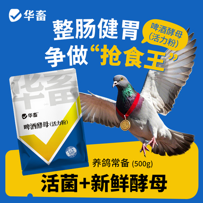 华畜啤酒酵母粉鸽用鹦鹉诱食促消化调理肠道水便绿便鸽子用酵母粉