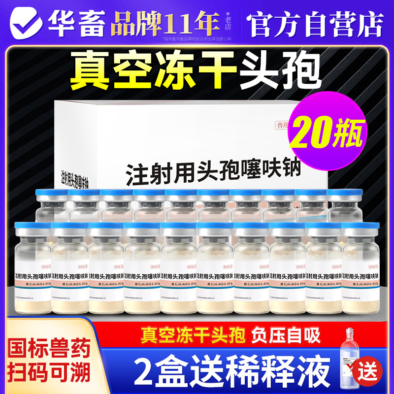 华畜兽用真空冻干头孢负压自吸