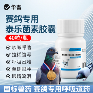 华畜兽药兽用酒石酸泰乐菌素胶囊小鸡鸭家禽赛鸽子咳嗽肺炎支原体