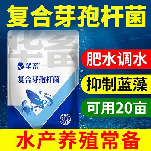 华畜复合芽孢杆菌水产养殖专用