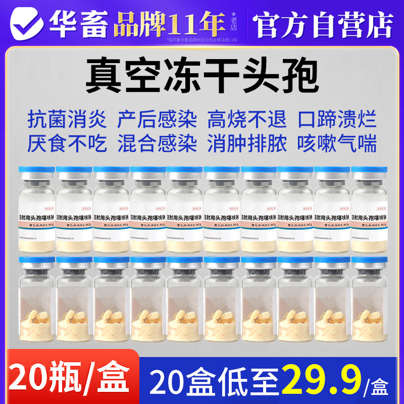 华畜兽药头孢噻呋钠兽用注射用液正品鱼腥草黄芪猪牛羊针剂消炎药