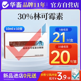 华畜盐酸林可霉素注射液兽用母猪产后消炎咳嗽气喘仔猪黄白痢兽药