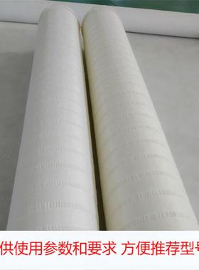 替代Liquatec大流量滤芯 MFH-P0504-PS