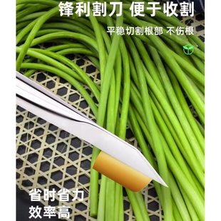 蒜苔收割刀抽蒜苔神器蒜苔刀抽蒜器摘蒜苗刮划拔剥提打蒜薹的工具