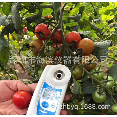 PAL-BX/ACID9菠萝糖酸浓度计菠萝糖度计菠萝酸度计水果糖度计