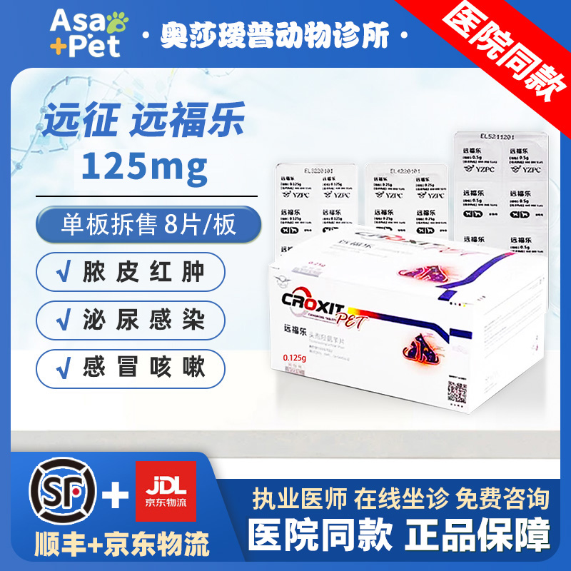远征远福乐头孢羟氨苄宠物消炎药