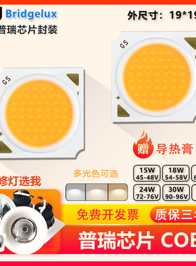 普瑞芯cob灯珠15W18W36W轨道射灯筒灯高亮20W30Wled灯芯光源 高显