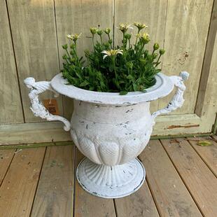 莫里斯花园 花园杂货 铁质天使奖杯盆