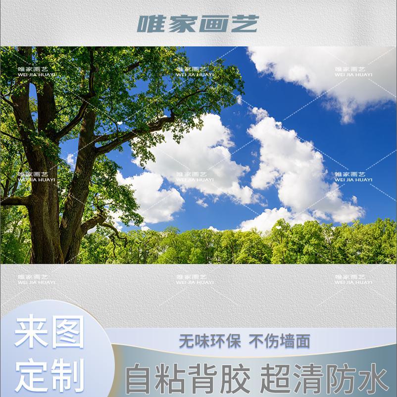 风景壁画贴纸自粘墙贴画整张卧室壁纸直播背景墙客厅墙面装饰贴画