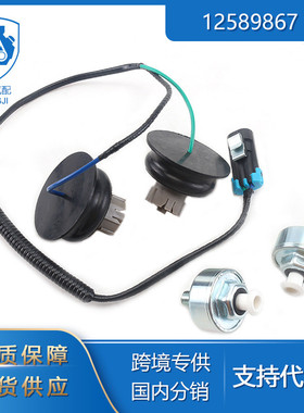 适用于雪佛兰港际汽车零配件12589867 12601822爆震线束套装银色