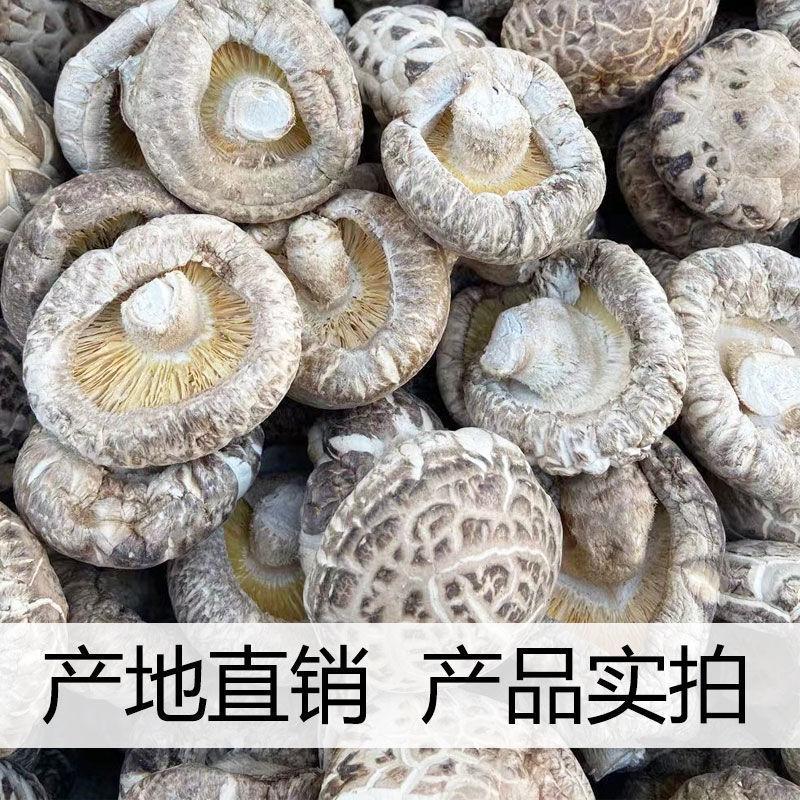 速发【净重新货】干花菇干货特级特产花菇大小肉厚香菇椴木花菇冬