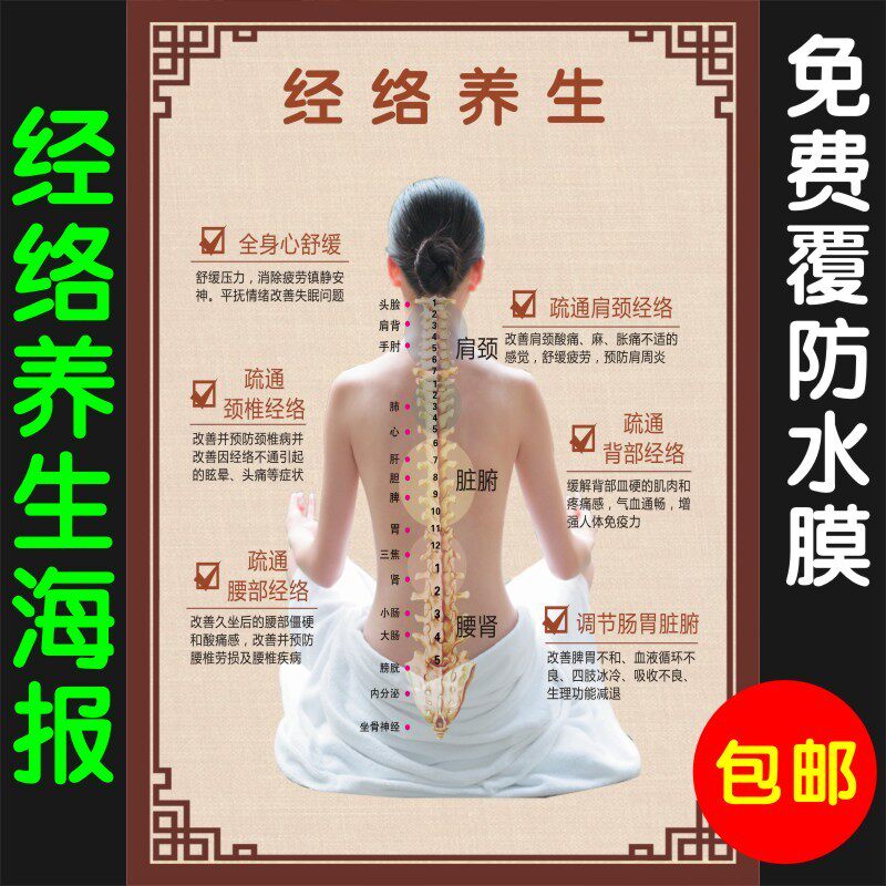 美容院中医养生会所经络养生作用功效广告海报宣传画kt板订制包邮