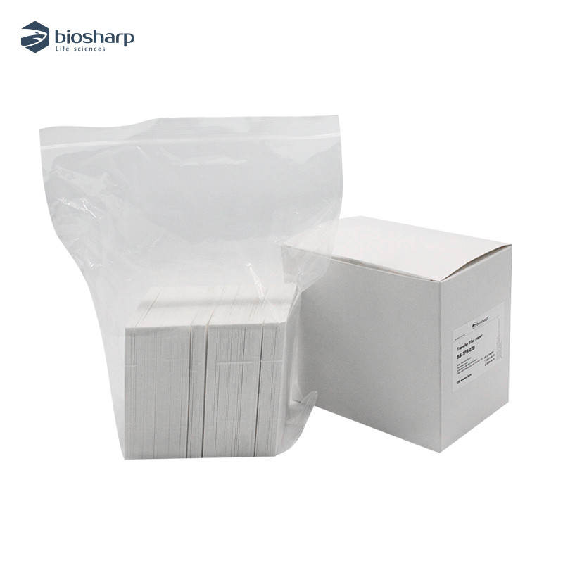 Western Blotting 湿转转印滤纸7.5*10 7.5*8.4cm通用六一Thermo