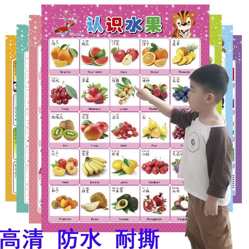 宝宝挂图幼儿童0-6岁早教拼音挂图无声认知启蒙识字挂图数字卡片